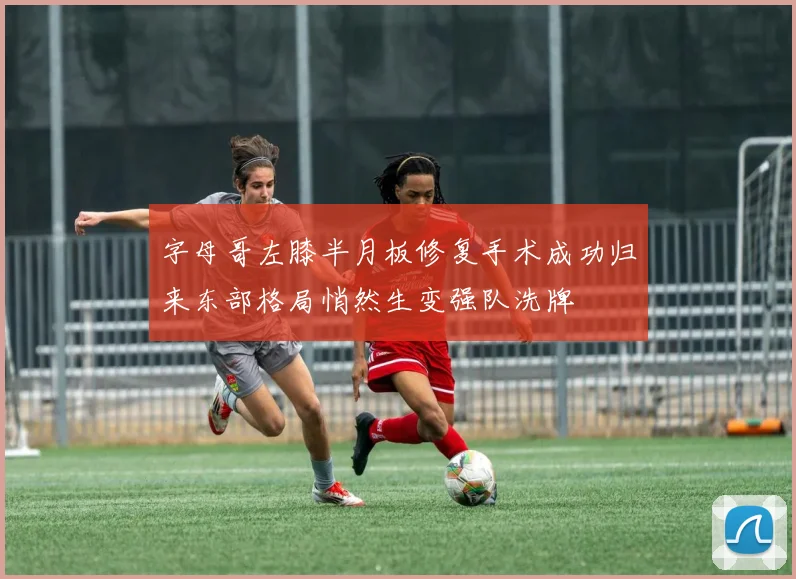字母哥左膝半月板修复手术成功归来东部格局悄然生变强队洗牌