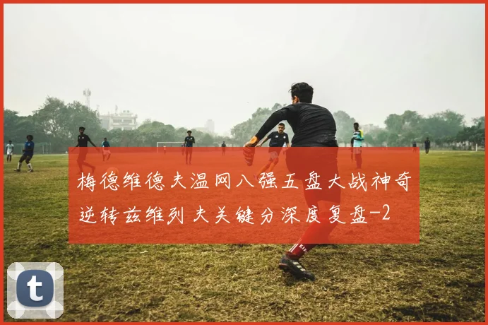 梅德维德夫温网八强五盘大战神奇逆转兹维列夫关键分深度复盘
