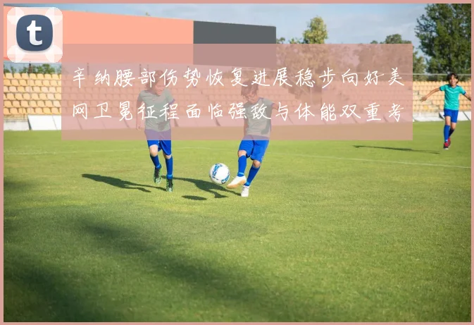 辛纳腰部伤势恢复进展稳步向好美网卫冕征程面临强敌与体能双重考验